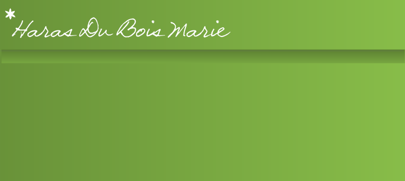 Haras Du Bois Marie
