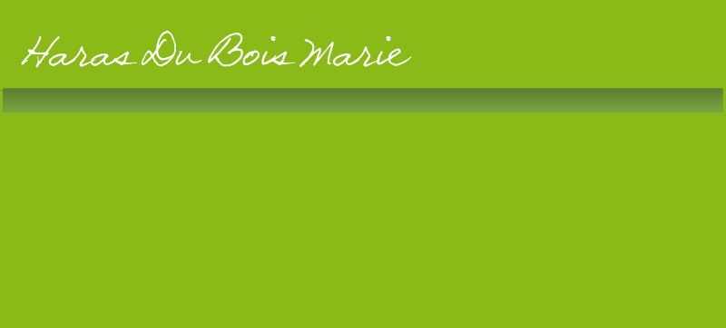 Haras Du Bois Marie
