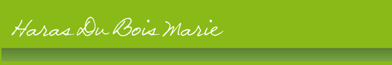 Haras Du Bois Marie
