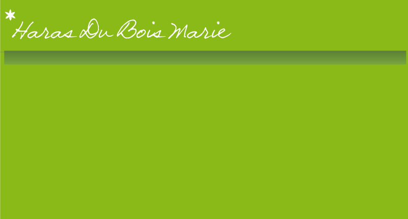 Haras Du Bois Marie
